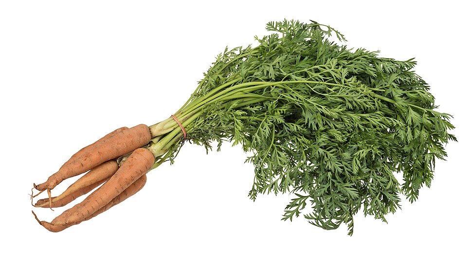 جزر