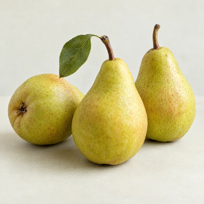 عرموط