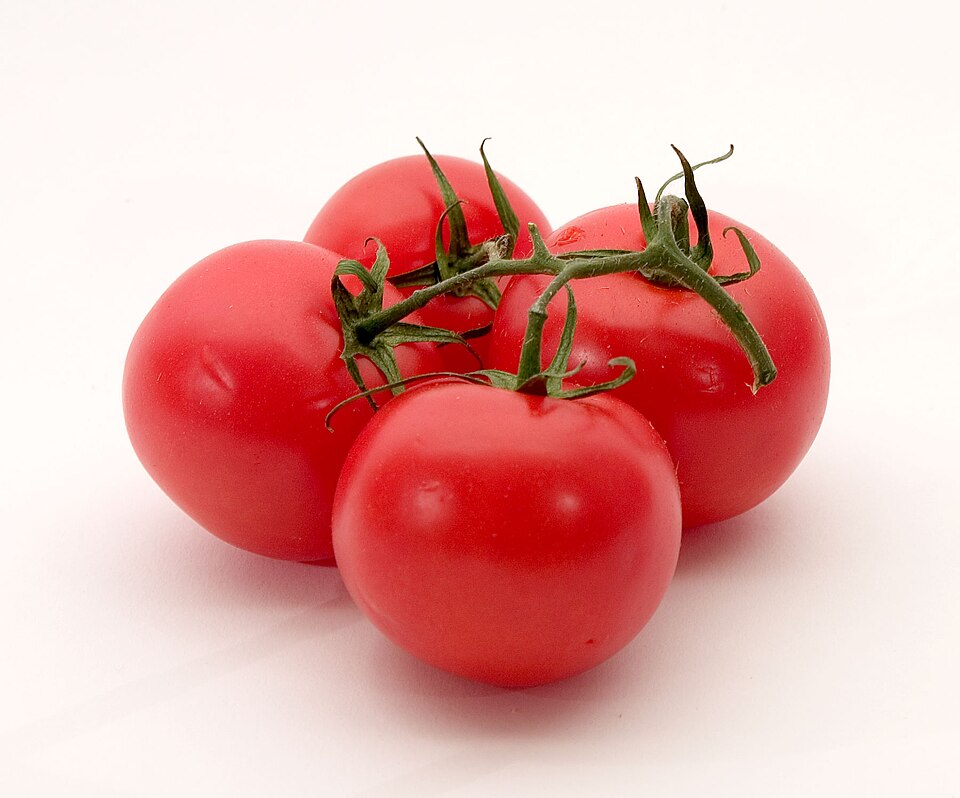 طماطة