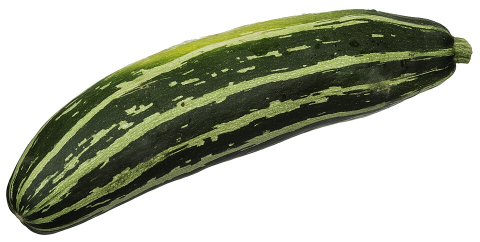 شجر